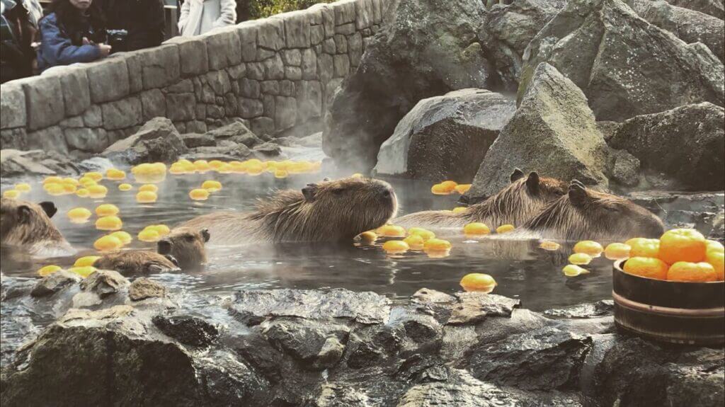 伊豆ぐらんぷる公園