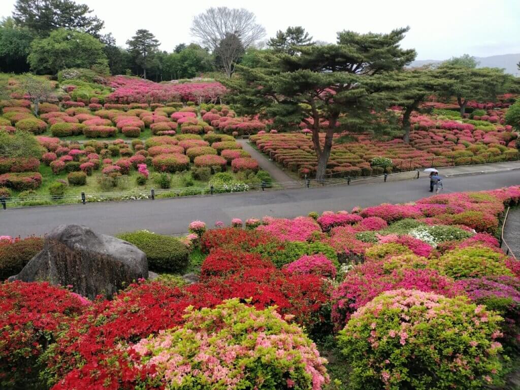 東伊豆　伊東市　小室山公園　