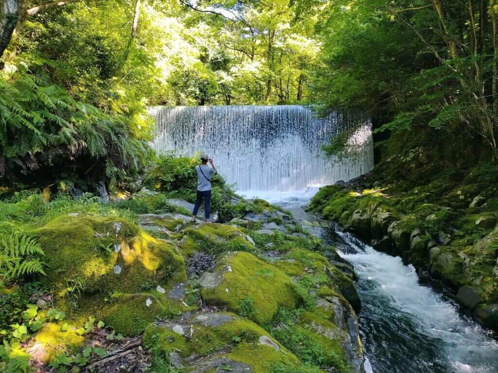 中伊豆　萬城の滝