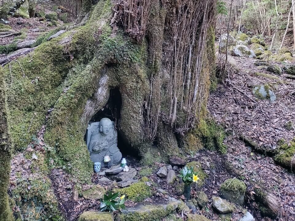 桂大師(修善寺の桂)　伊豆市