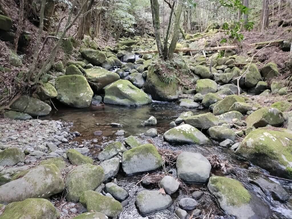 桂大師 修善寺の桂